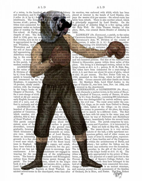 Stampa su tela Poster Fab Funky Bulldog di boxe completo Tempo libero Verticale
